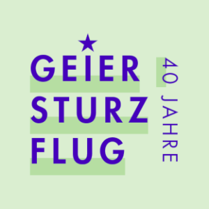 (c) 40-jahre-geier-sturzflug.de